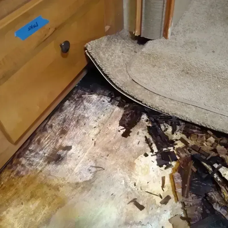 Wood Floor Water Damage in Pismo Beach, CA